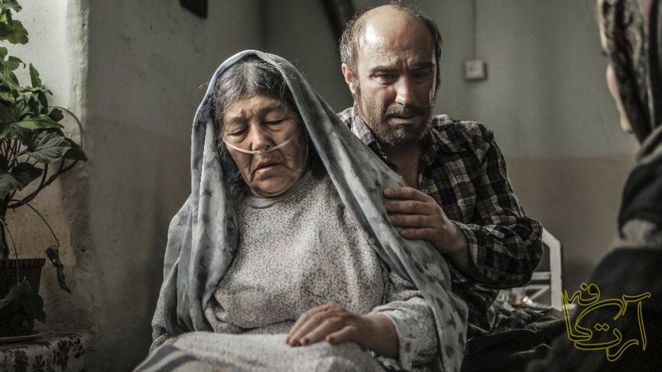 سینما  شکستن همزمان بیست استخوان   برادران محمودی  اسکار افغانستان